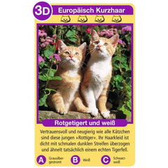Ravensburger - Tierquartett Katzen - Gioco di Carte