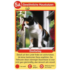 Ravensburger - Tierquartett Katzen - Gioco di Carte