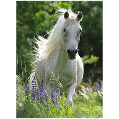 Ravensburger - White Horse - 100 Pieces - Puzzles