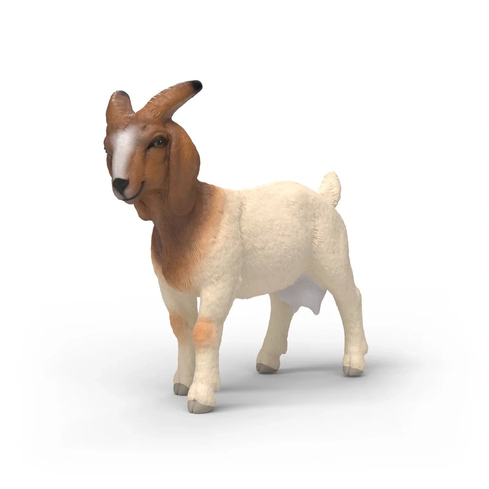 SCHLEICH - Boer Goat - Action & Toy Figures - 3+ - 84414929