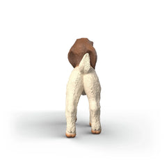 SCHLEICH - Boer Goat - FARM WORLD - 3+ - 84414930