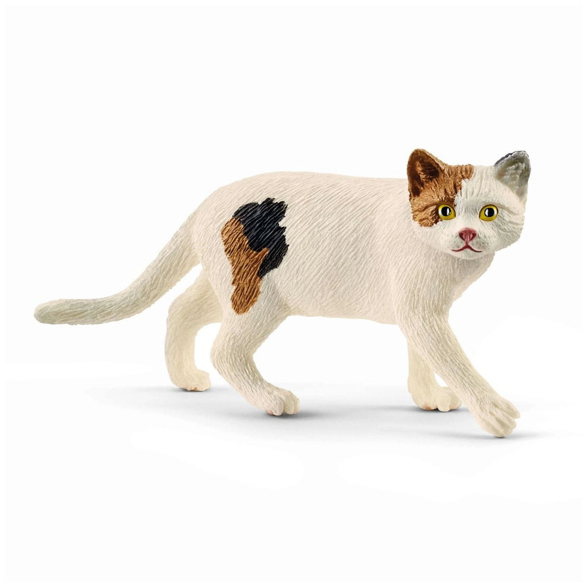 Schleich - Farm World - Gatto a Pelo Corto Americano - Figure d'Azione e Giocattoli - 13894