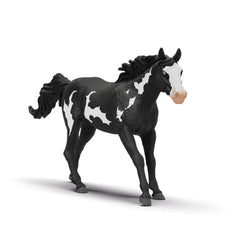 Schleich - Horse Club - Cavallo Castrato Paint - Figure d'Azione e Giocattoli - 14900