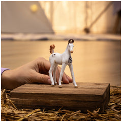 Schleich - Horse Club - Marwari Foal - Action & Toy Figures - 14896