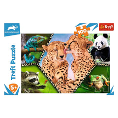 Trefl - Bellezza della Natura - Puzzle - +5 - TRF16424
