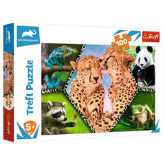 Trefl - Bellezza della Natura - Puzzle - +5 - TRF16424