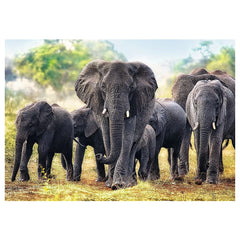 Trefl - Puzzle da 1000 Pezzi - Puzzle - 14 - Attività Divertente - TRF10442