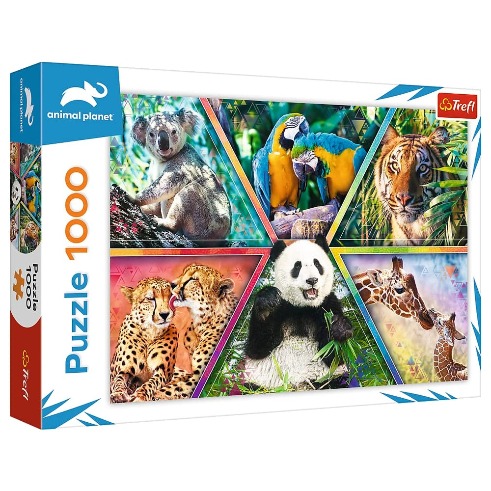 Trefl - Puzzle da 1000 Pezzi - Puzzle - 14 - TRF10672