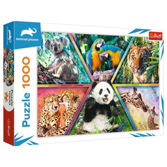 Trefl - Puzzle da 1000 Pezzi - Puzzle - 14 - TRF10672