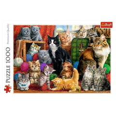 Trefl - Feline Meeting - Puzzle - 14 - TRF10555
