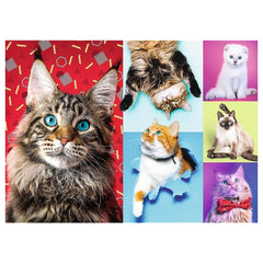 Trefl - Happy Cats - Puzzle - 14 - TRF10591