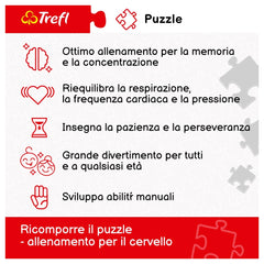Trefl - Puzzle da 1000 Pezzi - Puzzle - 14+ - TRF10765