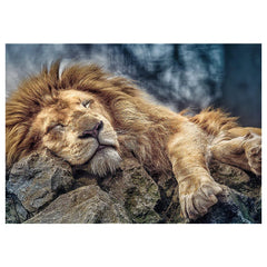 Trefl - Sleeping Lion - Puzzle - 14+ - TRF10447