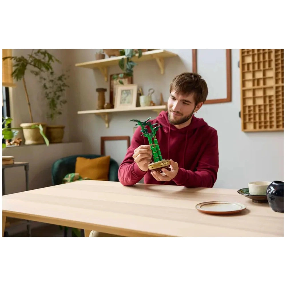 A young man in a red hoodie sits at a wooden table, holding the LEGO® Botanicals Lucky Bamboo construction set, featuring green bamboo stems and a decorative pot. The background includes indoor plants and shelves with various decor items.