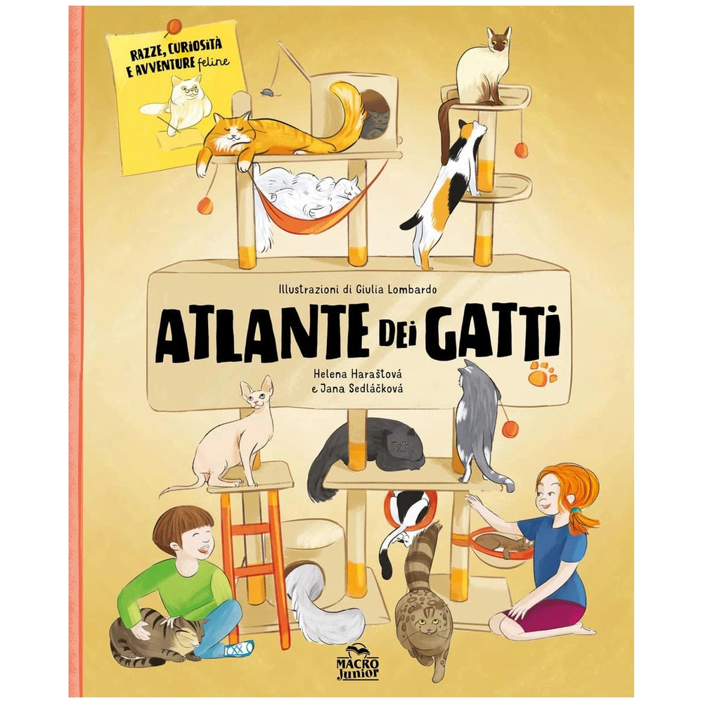 MACRO JUNIOR book cover featuring a young girl with orange hair, illustrated cats, and black text on a glossy yellow backgrou