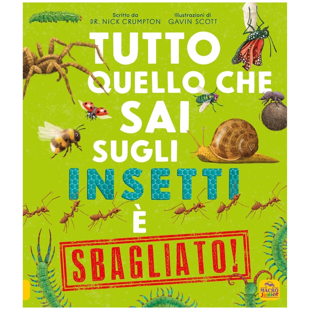 MACRO JUNIOR book with colorful insect illustrations on solid green cardboard packaging featuring white and red text.