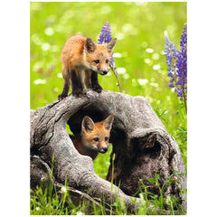 Ravensburger - Volpi Birichine - 300 Pezzi - Puzzle