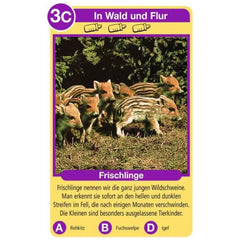 Ravensburger - Tierquartett Tierkinder - Gioco di Carte