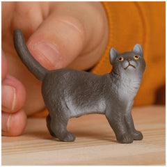 Schleich - Farm World - Gatto British Shorthair - Figure d'Azione e Giocattoli - 13973