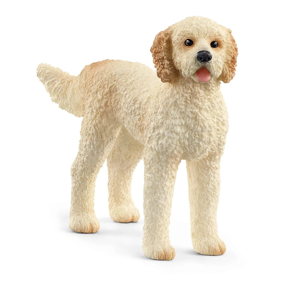 Schleich - Farm World - Goldendoodle - Figure d'azione e giocattoli - 13939