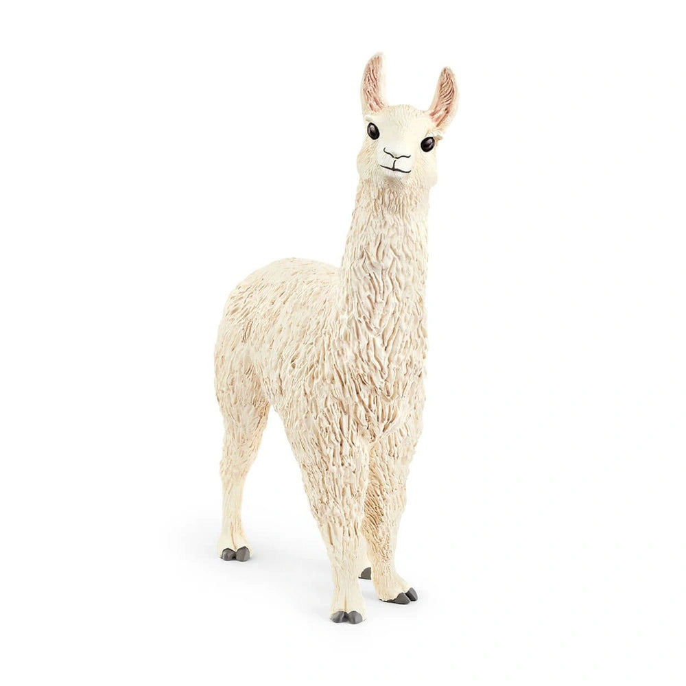 Schleich - Farm World - Lama - Action & Toy Figures - 13920