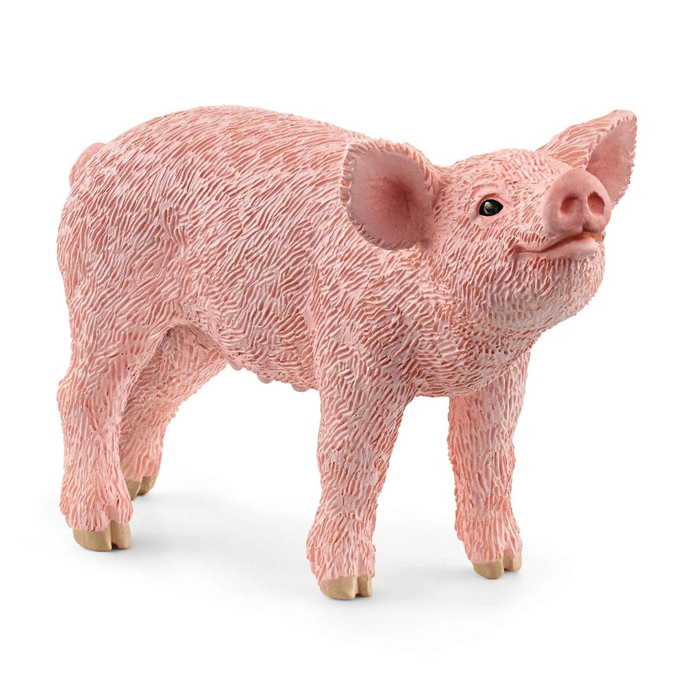 Schleich - Farm World - Porcellino - Action e Figure da Gioco - 13934