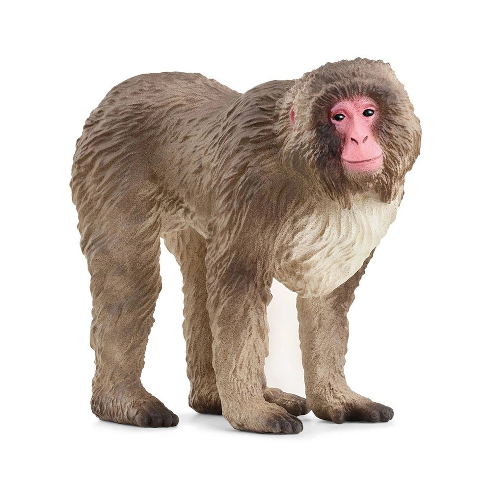 Schleich - Wild Life - Japanese Macaque - Action & Toy Figures - 14871