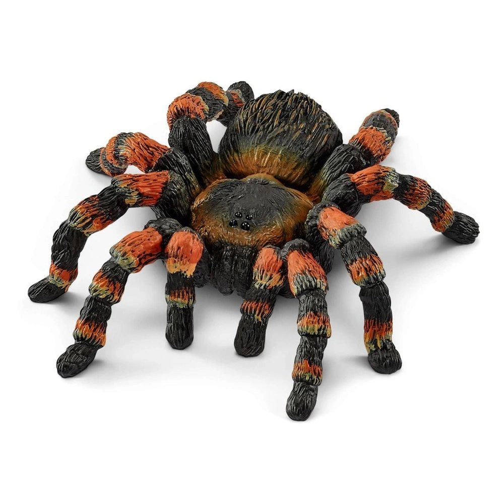 Schleich - Wild Life - Tarantola - Action & Toy Figures - 14829