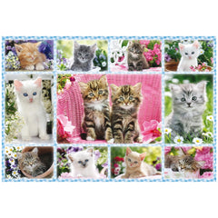 Schmidt Spiele - Kittens 100 Pz - Puzzle