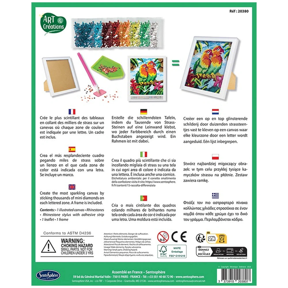 Sentosphere Arts & Creations Diamond Canvas packaging features a colorful bird painting, art supplies, and French text detail