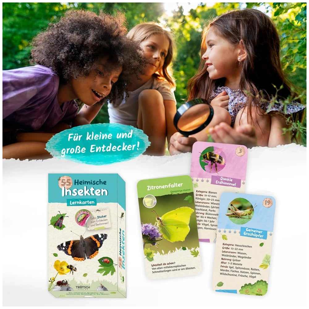 TROTSCH - 55 Learning Cards Native Insects are explored by three children outdoors using a magnifying glass on colorful illus